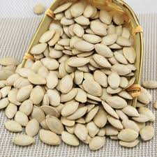 Pumpkin Seed